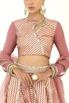 Shop_Rishi and Vibhuti x AZA_Pink Chanderi Embroidered Chevron Round Pattern Lehenga Set _at_Aza_Fashions