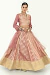 Buy_Rishi and Vibhuti x AZA_Pink Chanderi Embroidered Chevron Round Pattern Lehenga Set _at_Aza_Fashions