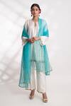 Shop_Chhaya Mehrotra_Blue Silk Organza Hand Embroidered Floral Neeli Dupatta _at_Aza_Fashions