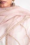 Chhaya Mehrotra_Pink Silk Organza Hand Embroidered Stripe Adya Dupatta _Online_at_Aza_Fashions