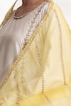 Chhaya Mehrotra_Yellow Silk Organza Hand Embroidered Stripe Drisana Dupatta _Online_at_Aza_Fashions