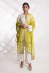 Buy_Chhaya Mehrotra_Green Silk Organza Hand Embroidered Floral Mishka Dupatta _at_Aza_Fashions