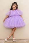 Buy_JANYAS CLOSET_Purple Net Embellished Fur Fairy Princess Tiered Cape Dress _at_Aza_Fashions