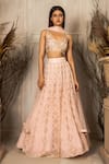 Buy_Ritika Mirchandani_Pink Crepe Embellished Yelizaveta Floral Jaal Embroidered Bridal Lehenga Set _at_Aza_Fashions