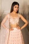 Shop_Ritika Mirchandani_Pink Crepe Embellished Yelizaveta Floral Jaal Embroidered Bridal Lehenga Set _at_Aza_Fashions