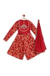 Buy_Tiber Taber_Red Crop Top And Pant 100% Cotton Embroidery Devi & Pleated Set _Online_at_Aza_Fashions