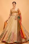 Buy_Cedar & Pine_Gold Tulle Embroidered Sequin Scoop Lehenga Set _at_Aza_Fashions