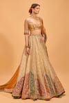 Buy_Cedar & Pine_Gold Tulle Embroidered Sequin Scoop Lehenga Set _Online_at_Aza_Fashions