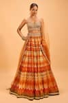 Buy_Cedar & Pine_Multi Color Organza Embroidered Pearl Sweetheart Chevron Pattern Lehenga Set _at_Aza_Fashions