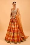 Buy_Cedar & Pine_Multi Color Organza Embroidered Pearl Sweetheart Chevron Pattern Lehenga Set _Online_at_Aza_Fashions