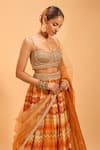 Cedar & Pine_Multi Color Organza Embroidered Pearl Sweetheart Chevron Pattern Lehenga Set _at_Aza_Fashions