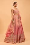 Cedar & Pine_Pink Organza Embroidered Sequin Scoop Lehenga Set _Online_at_Aza_Fashions