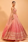 Shop_Cedar & Pine_Pink Organza Embroidered Sequin Scoop Lehenga Set _Online_at_Aza_Fashions