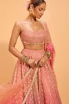 Cedar & Pine_Pink Organza Embroidered Sequin Scoop Lehenga Set _at_Aza_Fashions