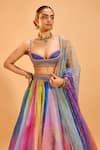 Buy_Cedar & Pine_Multi Color Organza Embroidered Sequin Sweetheart Shaded Lehenga Set 