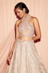 Pankaj & Nidhi_Grey Brocade And Silk Organza Applique Vera Embellished Lehenga And Blouse Set _Online_at_Aza_Fashions