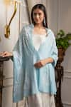 MAULI CASHMERE_Blue Resham Victoria Embroidered Stole _Online_at_Aza_Fashions