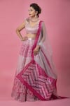 Buy_Amit Aggarwal_Pink Tulle V Neck Metallic Lehenga Set  _at_Aza_Fashions