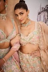 Buy_Aneesh Agarwaal_Ivory 100% Silk Organza Embroidery Sequin Bahar Garden Bridal Lehenga Set 