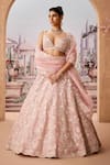 Buy_Aneesh Agarwaal_Pink 100% Silk Organza Embroidery Sequin Deep Petunia Garden Bridal Lehenga Set _at_Aza_Fashions