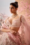 Aneesh Agarwaal_Pink 100% Silk Organza Embroidery Sequin Deep Petunia Garden Bridal Lehenga Set _Online_at_Aza_Fashions