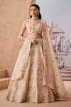 Aneesh Agarwaal_Peach 100% Silk Organza Embroidery Crystal Buttercup Flora Bridal Lehenga Set _Online_at_Aza_Fashions