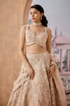 Aneesh Agarwaal_Peach 100% Silk Organza Embroidery Crystal Buttercup Flora Bridal Lehenga Set _at_Aza_Fashions