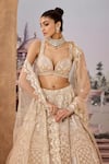 Buy_Aneesh Agarwaal_Beige Lehenga 100% Silk Organza Embroidered Gota Thread Bridal Set 