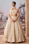 Buy_Aneesh Agarwaal_Ivory 100% Silk Organza Sequin Embellished Floral Bouquet Bridal Lehenga Set _at_Aza_Fashions