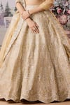 Aneesh Agarwaal_Yellow Lehenga 100% Silk Organza Embroidered Gota Sequined Floral Bridal Set _Online_at_Aza_Fashions