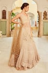 Shop_Nikita Vishakha_Brown Blouse Raw Silk Embroidery Floral Halter Neck Scallop Mesh Lehenga Set _Online_at_Aza_Fashions