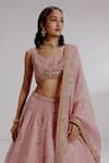 Shop_Taisha_Pink Pure Silk Organza Hand Embroidery Flamingo U-neck Alita Lehenga Set _Online_at_Aza_Fashions