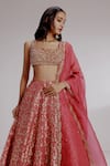 Shop_Taisha_Red Pure Woven Georgette Embroidery Tulip Jaal Tapeta Lehenga Set _Online_at_Aza_Fashions