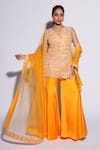 Buy_ASHUTOSH JOSHI_Orange Net Hand Embroidered Abstract Cutwork V-neck Sai Kurta Sharara Set _at_Aza_Fashions