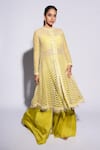 ASHUTOSH JOSHI_Green Net Hand Embroidered Geometric Anarkali Esas Sharara Set _at_Aza_Fashions