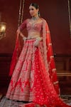 Buy_Kalighata_Red Raw Silk Embroidered Zari Sweetheart Wave Blossom Vine Bridal Lehenga Set _Online_at_Aza_Fashions