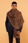 Shop_MODARTA_Brown Plain Pure Wool Shawl _Online_at_Aza_Fashions