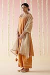 Shop_Nero India_Brown Kurta And Pant Chanderi Embroidered Aari Geometric Cheeta Set _Online_at_Aza_Fashions