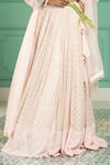 Monk & Mei_Pink Georgette Woven Geometric Round Pleated Lehenga Set _Online_at_Aza_Fashions