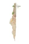 Samyukta Singhania_Green Beads Cluster Tassel Earrings _Online_at_Aza_Fashions