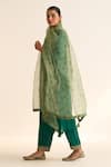 Dot_Green Organza Printed Floral Chintz Dupatta _Online_at_Aza_Fashions