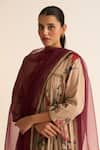 Shop_Dot_Wine Organza Embroidered Nakshi Eliza Dupatta _at_Aza_Fashions