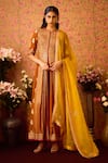 Buy_Shyam Narayan Prasad_Yellow Viscose Silk Brocade Hand Embroidery Floral Round Neck Anarkali Pant Set _at_Aza_Fashions