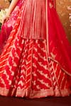 Shop_Shyam Narayan Prasad_Red Viscose Silk Brocade Embroidery Floral Round Neck Chevron Panel Lehenga Set _Online_at_Aza_Fashions