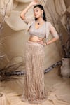 Buy_Lasha_Beige Tulle Embroidery Cutdana V Neck Phool Jaal Jacket Lehenga Set _at_Aza_Fashions