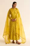 Shop_Dot_Yellow Organza Printed Floral Evani Dupatta _Online_at_Aza_Fashions