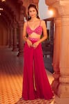 Aariyana Couture_Pink Cape Silk Organza Hand Embroidery Floral Bustier V Neck And Sharara Set _Online