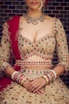 Nitika Gujral_Gold Tissue Embroidery Dori Sweetheart Neck Stone Bridal Lehenga Set _at_Aza_Fashions