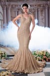 Buy_Nidhika Shekhar_Beige Organza Embroidery Sequins Sweetheart Neck Aphrodite Goddess Fish Cut Gown _Online_at_Aza_Fashions