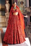 Shop_Seema Gujral_Red Net Embroidery 3d Floral Plunge Sweetheart Neck Bridal Lehenga Set _Online_at_Aza_Fashions